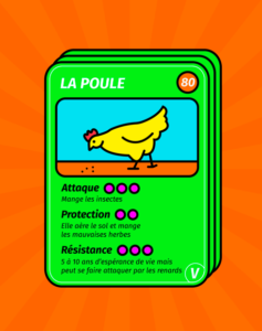 poule vigne